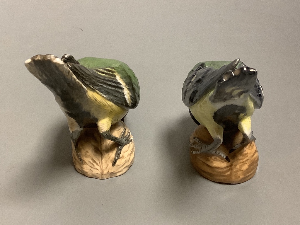 A pair of Meissen models of Great tits, width 12cm